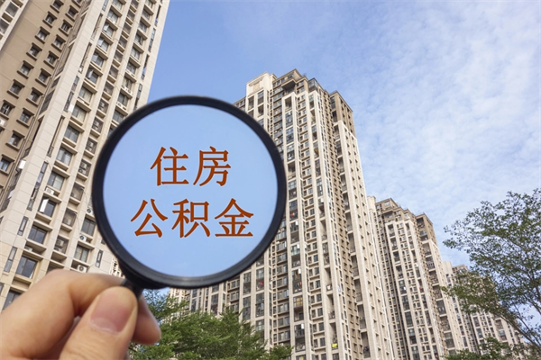 孝昌深圳公积金（深圳公积金首页）